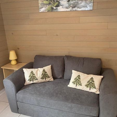 Appartement Au Centre Ville. Cauterets Dış mekan fotoğraf