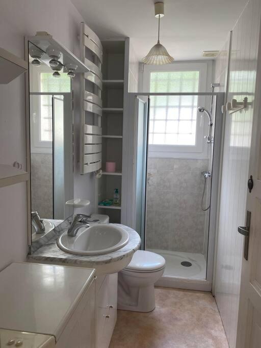 Appartement Au Centre Ville. Cauterets Dış mekan fotoğraf